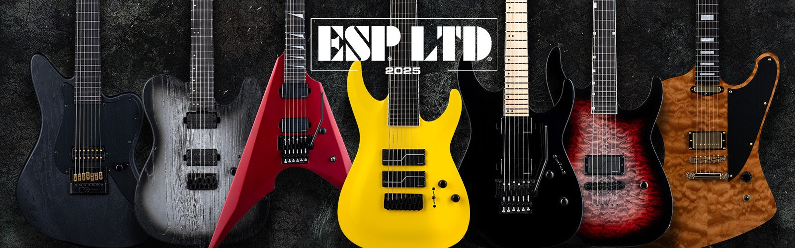 ESP/LTD 2025