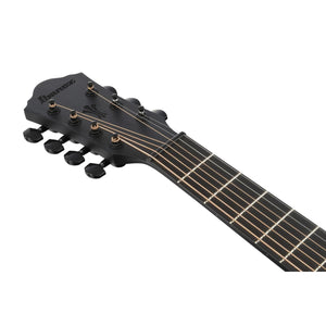 Ibanez AEG721 Acoustic Guitar Black Out