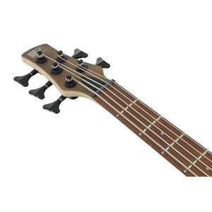 Ibanez SR305EB Bass Guitar 5-String Walnut Flat