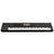 Korg Kronos 3 73 Music Workstation (73 Weighted Hammer Action Keys)