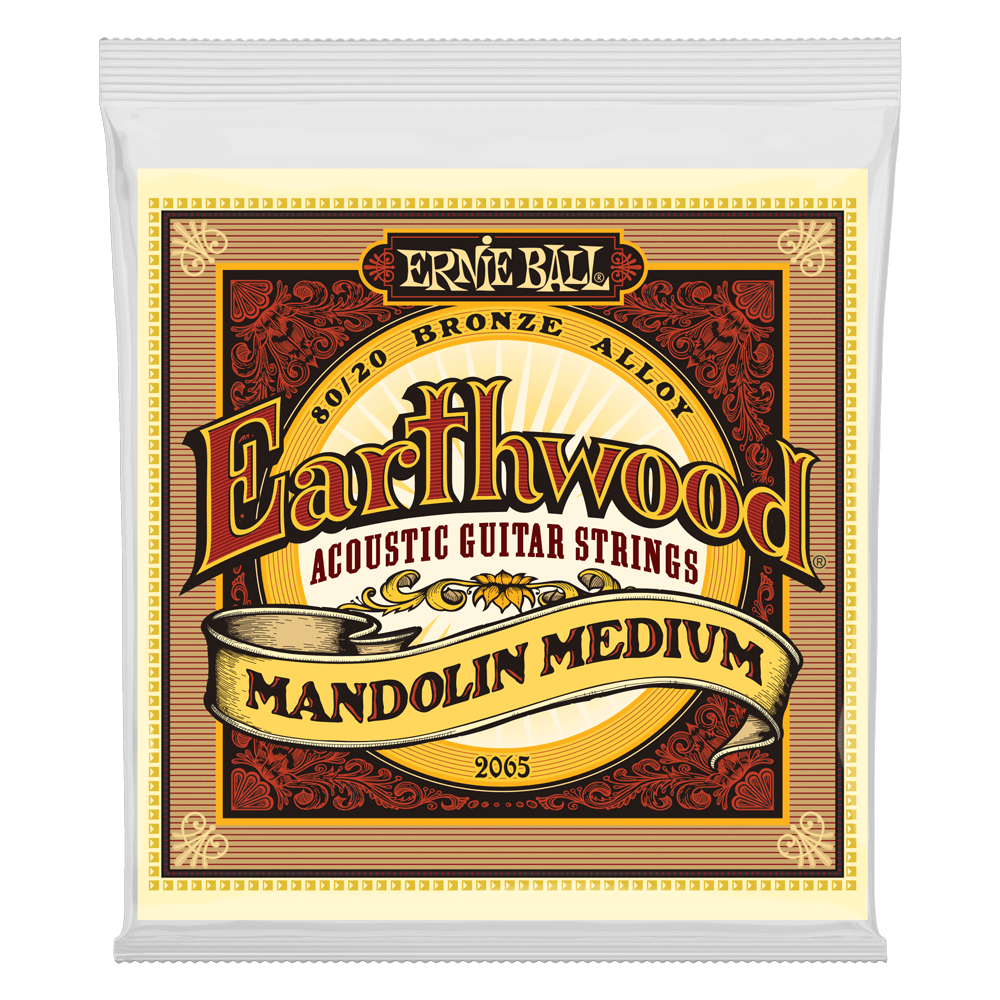 Ernie Ball 2065 Earthwood Mandolin Strings 80/20 Bronze Medium 10-36 (Loop End)