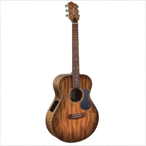 Pratley Premier Concert Acoustic Guitar All Solid Maple Smoke Burst Top w/ Pickup