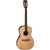 Takamine G50 Series Acoustic Guitar New Yorker Natural w/ Pickup - TGY51ENAT