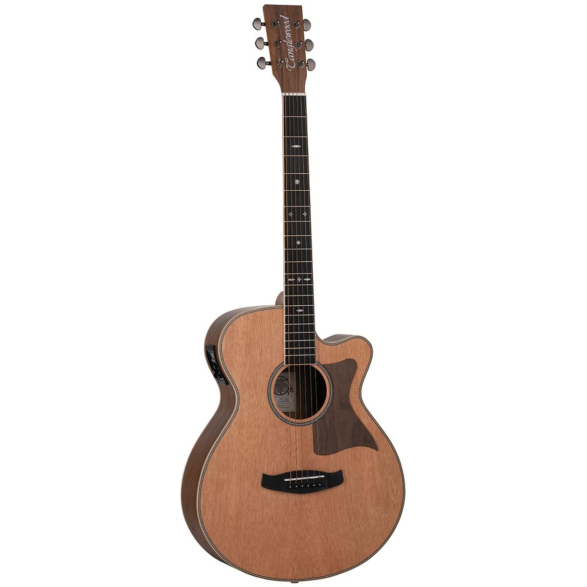 Tanglewood TRU4-CE-BW Reunion Pro Acoustic Guitar Solid Cedar Top Super Folk w/ Cutaway & Pickup