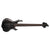 ESP LTD F-1005 Bass Guitar 5-String Flamed Maple See Thru Black w/ Fishmans