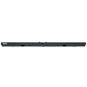 Korg Liano 88-Key Piano - Metallic Gray