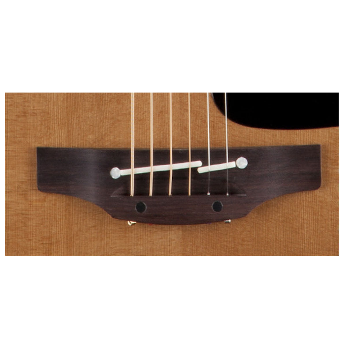 Takamine bridge online saddle