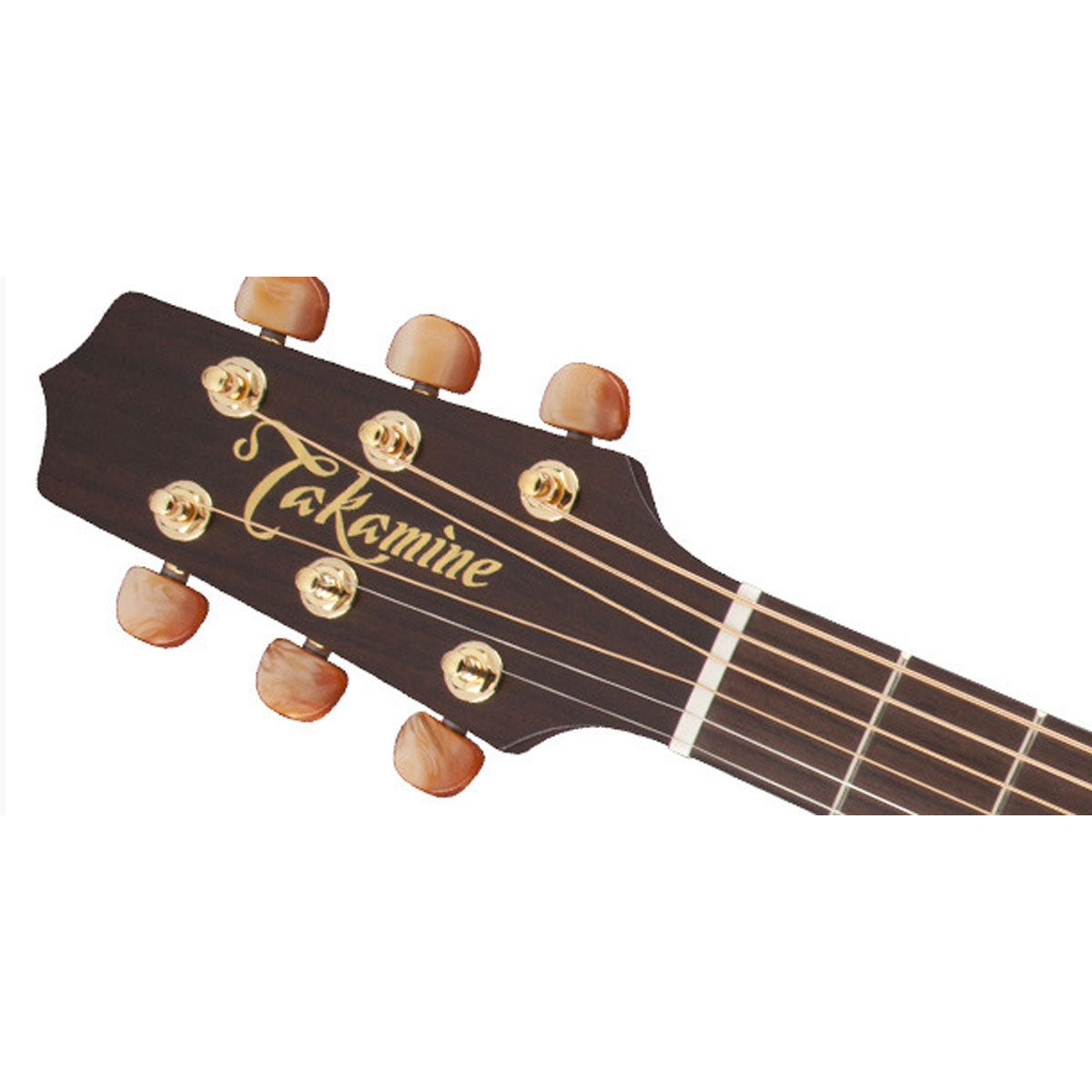 Left handed store takamine 12 string