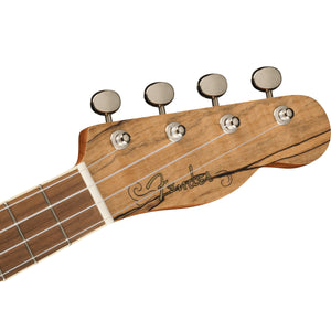 Fender Zuma Exotic Concert Ukulele Spalted Maple Uke - 0970450594