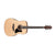 Ibanez AAD50 Acoustic Guitar Grand Dreadnought Low Gloss Natural