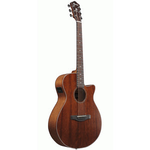 Ibanez AEG220 AEG Acoustic Guitar Natural Low Gloss