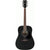 Ibanez AW84 Artwood Acoustic Guitar Weathered Black Open Pore