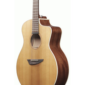 Ibanez PA230E Acoustic Guitar Natural Satin Top, Natural Low Gloss Back and Sides