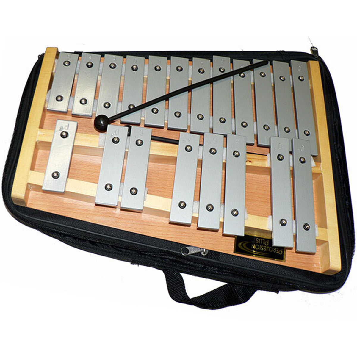 Percussion 2024 plus xylophone