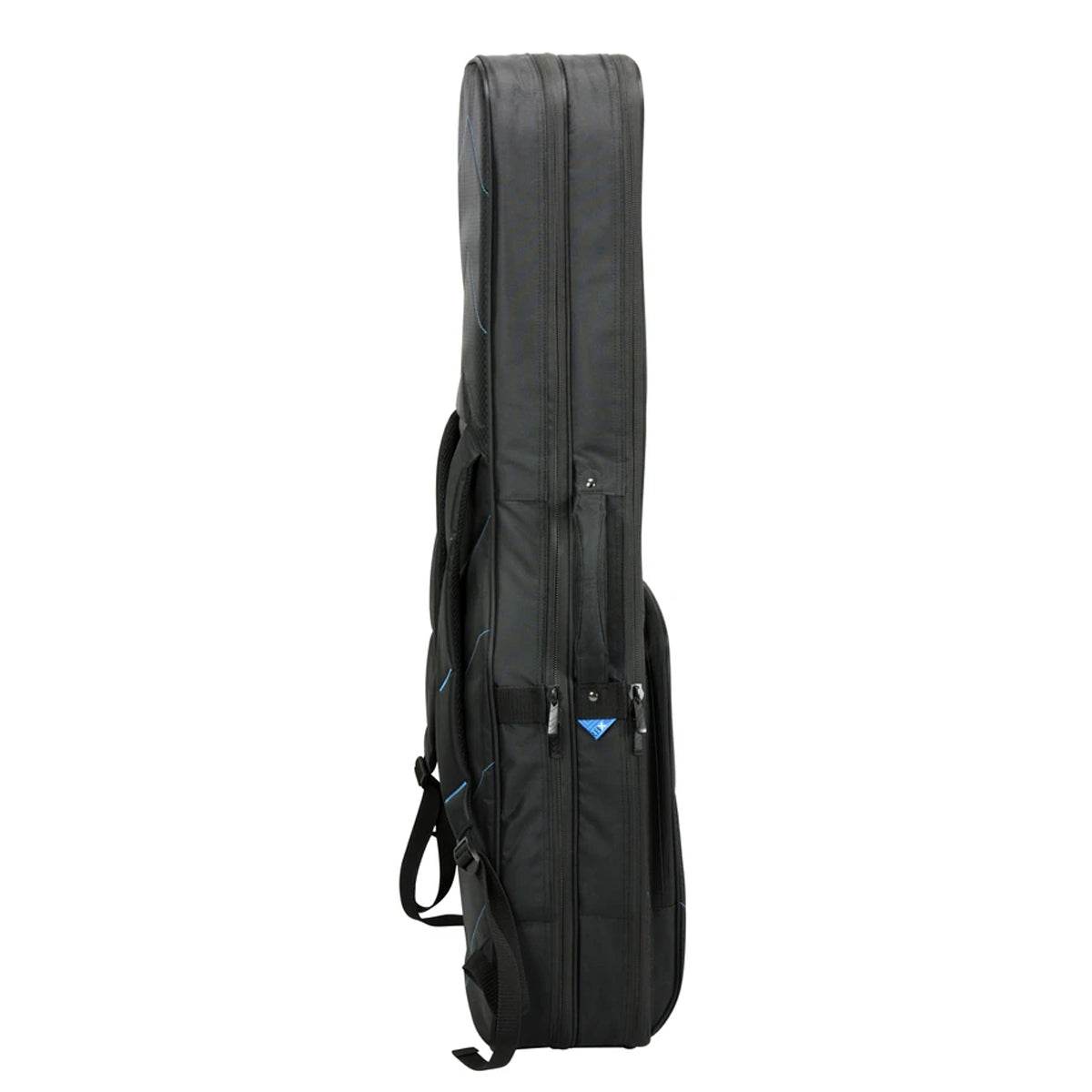 Reunion blues clearance double gig bag