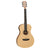 Tanglewood Discovery Exotic Acoustic Guitar Parlour Hawaiian Rainwood Natural Satin w/ Pickup & Cutaway