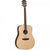 Tanglewood TDBTDEB Discovery Acoustic Guitar