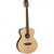 Tanglewood TDBTFEB Discovery Acoustic Guitar