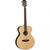 Tanglewood TDBTFEBLH Discovery Acoustic Guitar