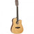 Tanglewood TW10-12 Winterleaf Acoustic Guitar