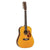 Tanglewood TW40-12SDANE Sundance Historic Acoustic Guitar 12-String Sloped Shoulder Dreadnought Natural w/ Pickup & Case